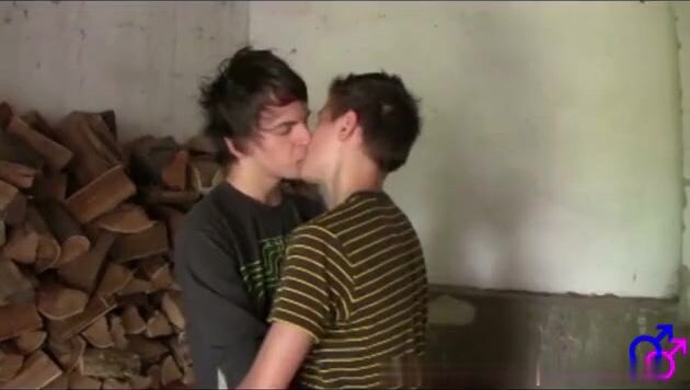 A shag among the logs gay porn videos
