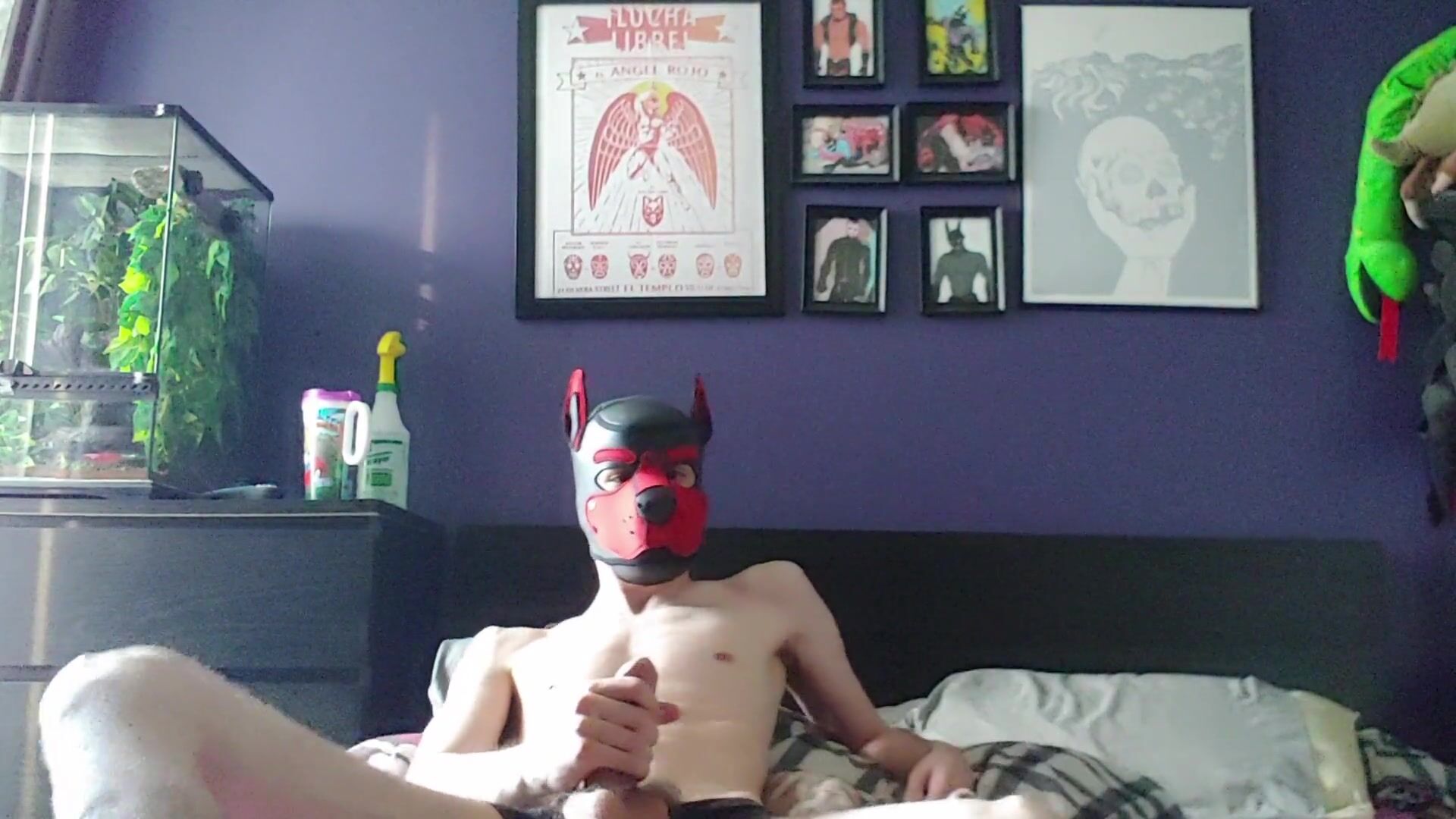[abx][3][193] - dog boy post-workout jerk-off