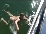 Alligator spring break fun