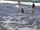 At the beach with friends and the dog