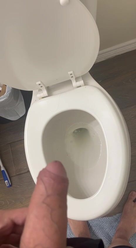 美チン便所生挿入