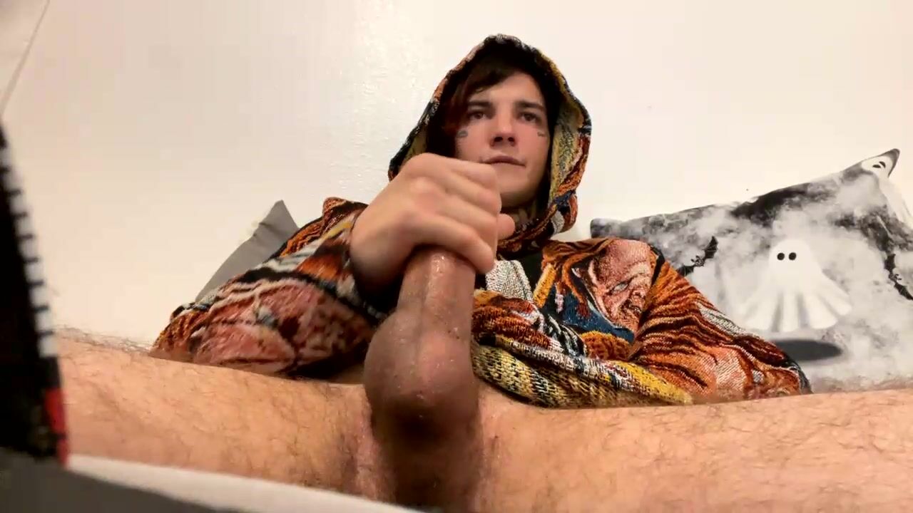 Großer beschnittener schwanz zeigt sich auf webcam