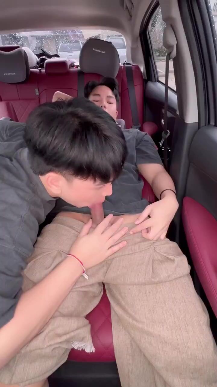 Boys bareback bj and raw car fuck