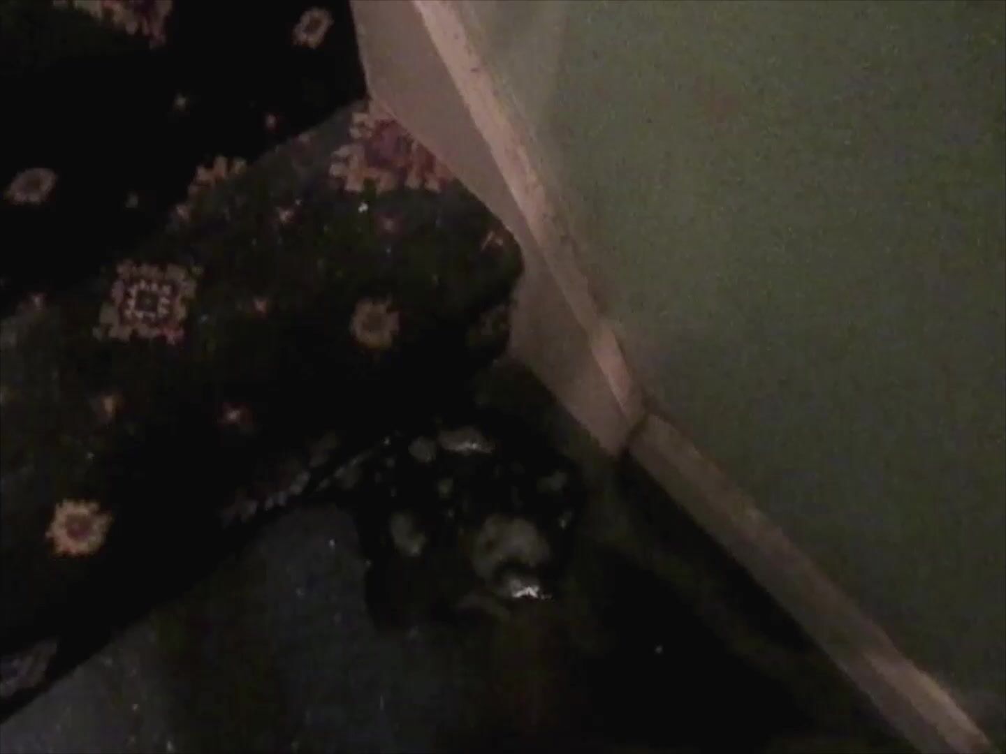 Piss play at bottom of stairs
