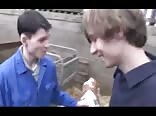 Country twinks bareback on the farm