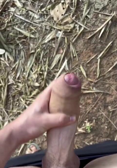 Pau branco grande 2