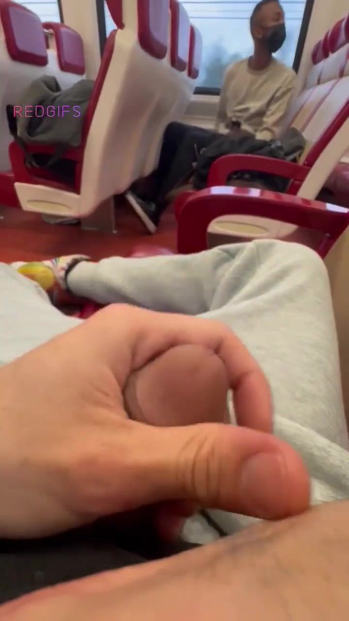 Public train jerk caught