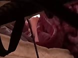 Caught my brother jerking off boys porn