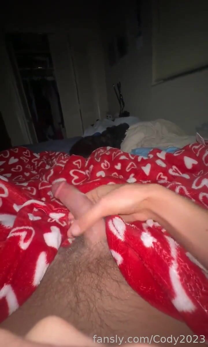 Long skinny cock twink cody wanks
