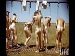 Vintage military men: naked soldier photos