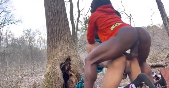 Couple fuck in the woods