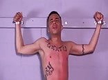 Curtis 1