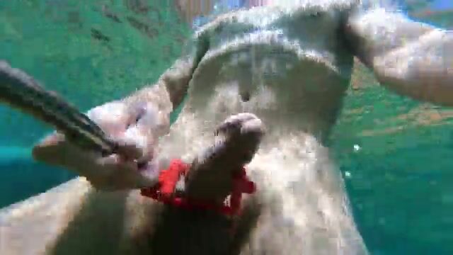18 cum ashore cam boys