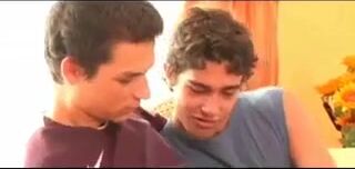 Euro brothers get nast gay porn videos