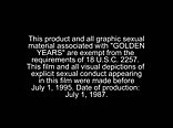 Vintage boys: golden years american gay porn film