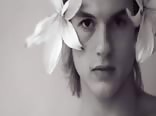 Adonis gris. el cuerpo masculino