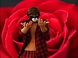 Joyeuse saint-valentin de l'ado