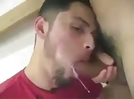 Das latein bietet einen heißen bj
