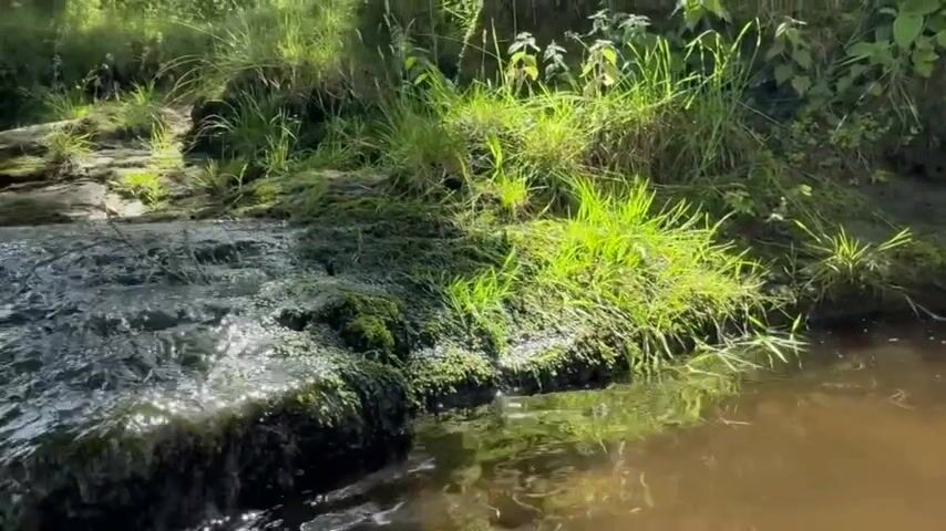 Ginger twink gets fucked raw in nature