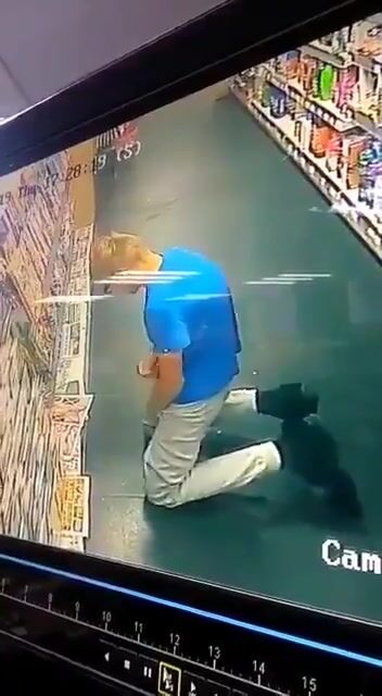Ip security cam