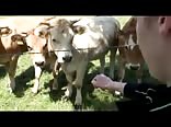 Landeier - county boys porn tube outdoors twinks porn