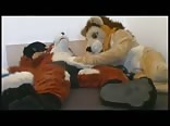 Lion and fox plushie sex