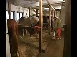 Ski resort jocks fuck hard in meltdown