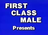 First class males: mirror gay porn action