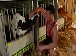 Ado musclé de la ferme aux écuries