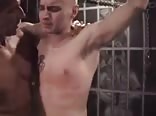 Mature doms own twink