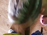 Oral sex hook-up lovely kinda blond boy porn