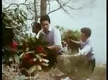 Paques 1954