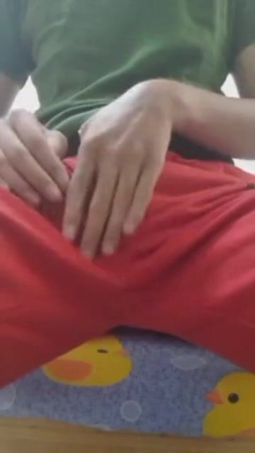 彼得x