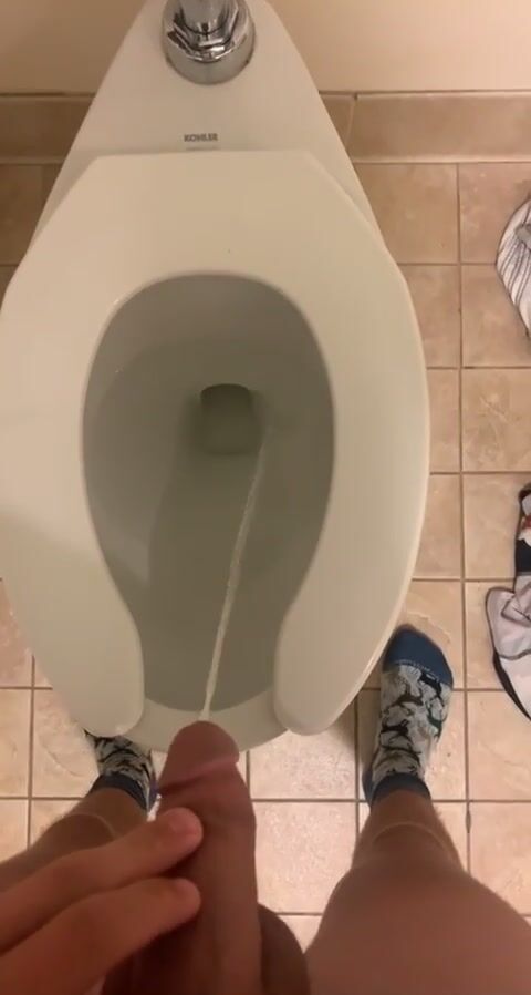 Public toilet piss session