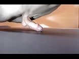 Push-ups & cock-ups