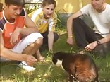 Pussy tails teen boys gay tube young sex