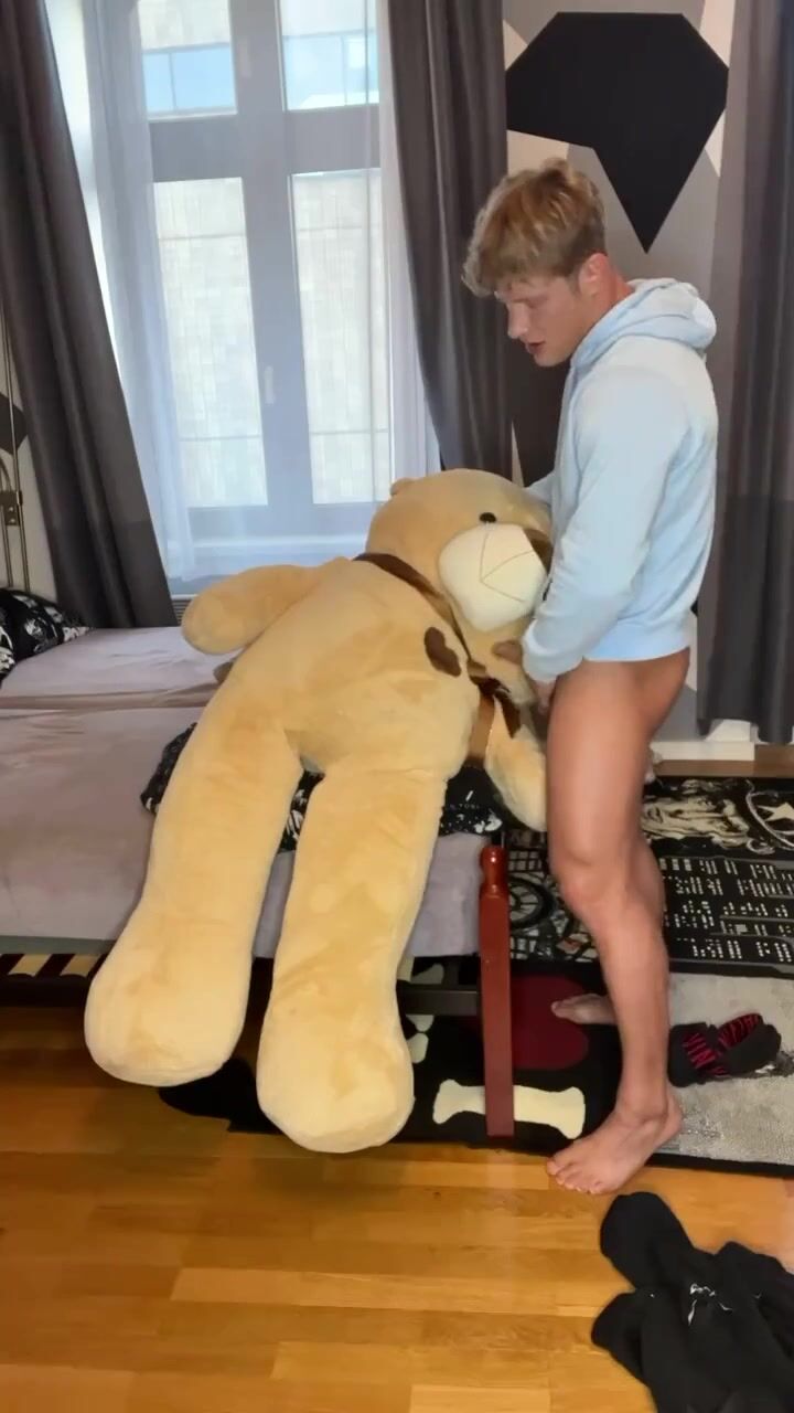 Teddy é usado com força