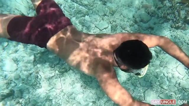 Retour de plage , ils sont très excités