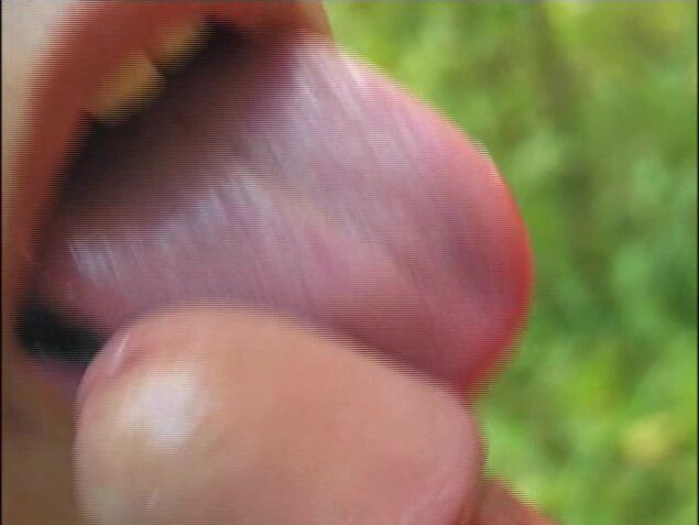Sweet holes get fucked bareback