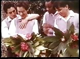 サクレ・カレッジのゲイポルノ動画