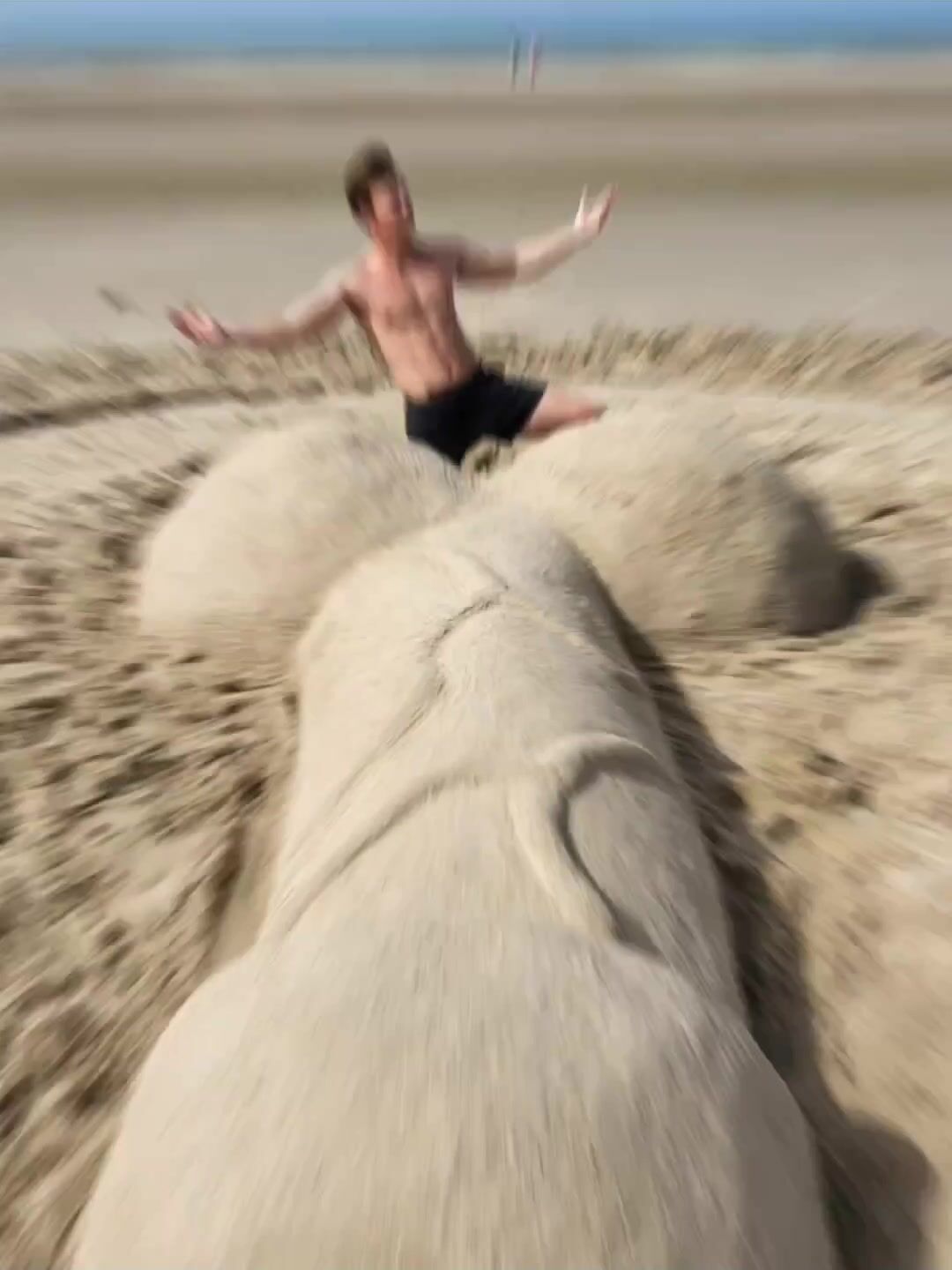Desert cock: sand dick