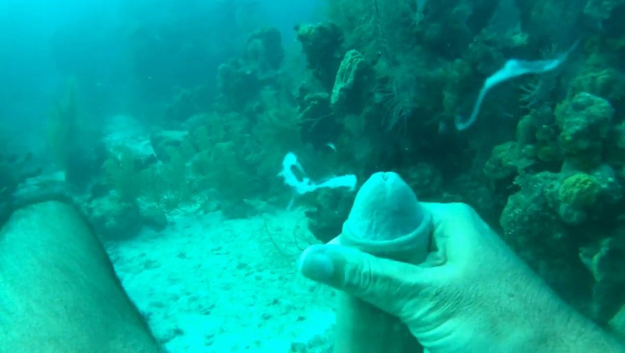 Scuba twink cums bareback in ocean