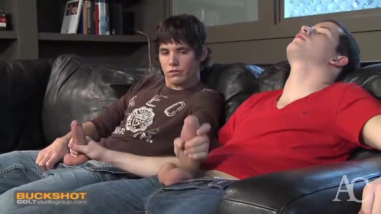 Sex on the couch 2
