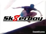 Alex fucks sk8erboy in gay porn video