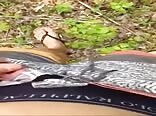Outdoor piss and cum with 18yo skype boys
