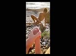 Beach boys twinks ohne kondom mit muskel-daddy