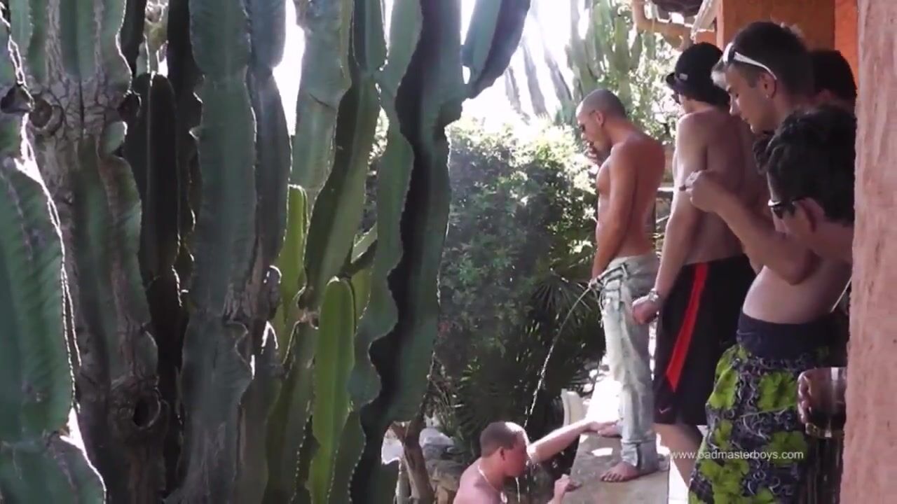 Public spring break bros porn