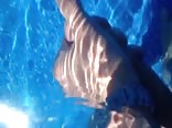 Spunking the pool