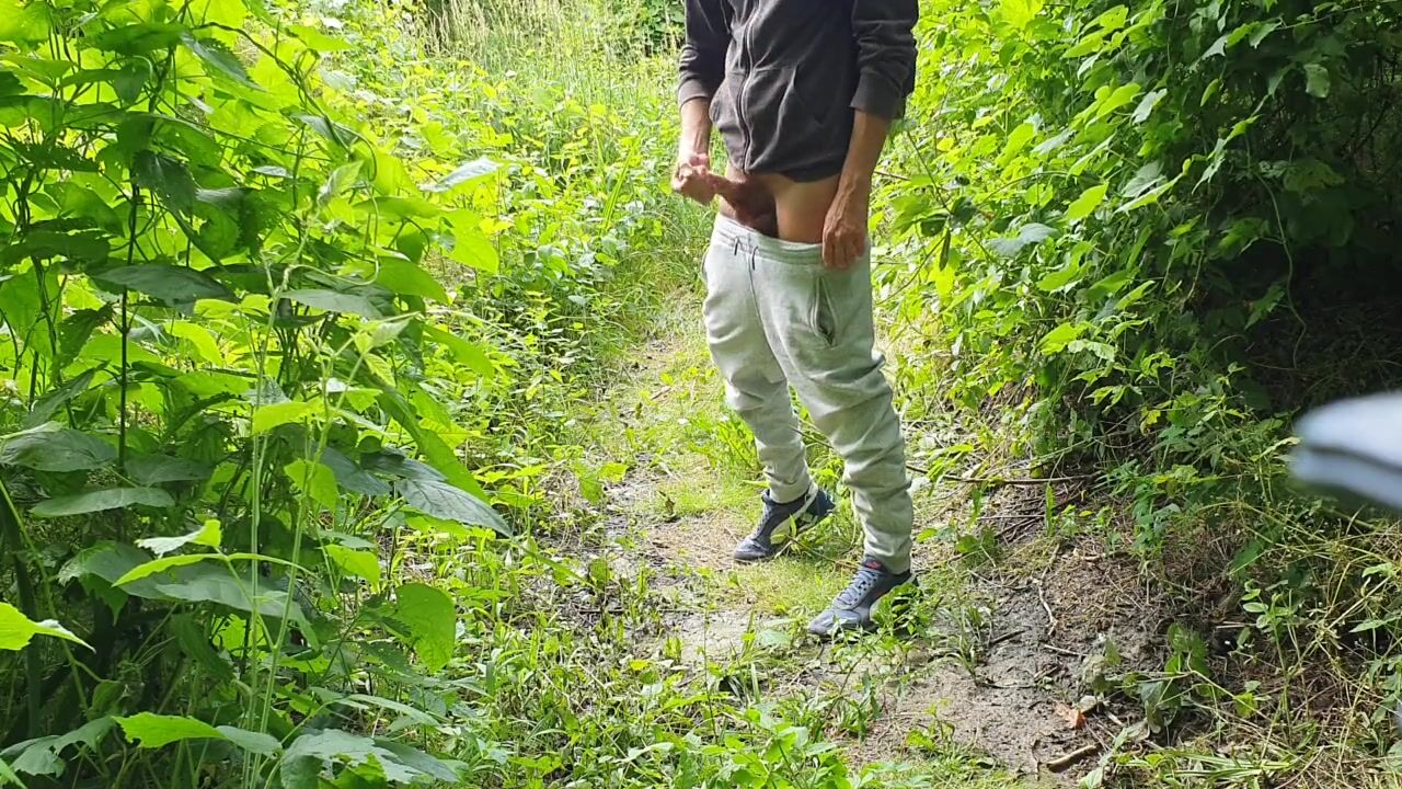 在树林里撒尿打手枪