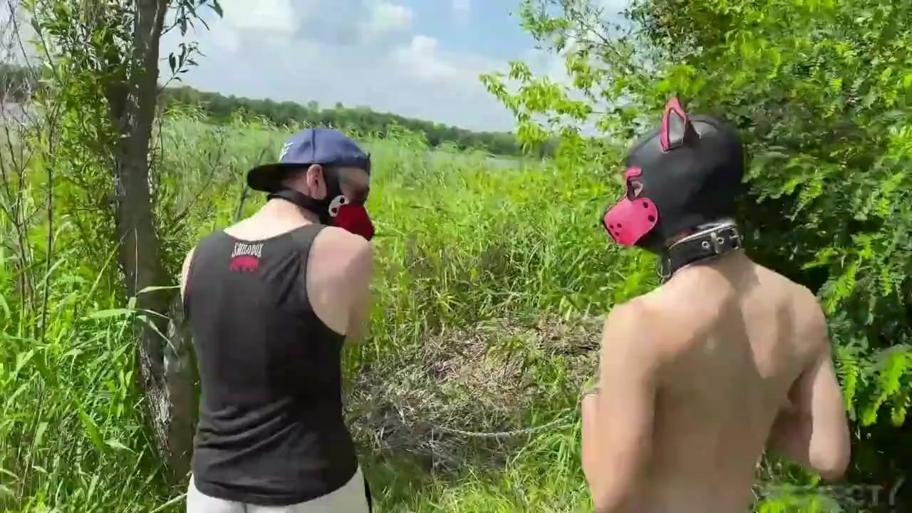 Nicer puppy takes a walk